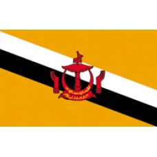 3x5' Lightweight Polyester Brunei Flag