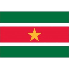 6x10' Nylon Suriname Flag