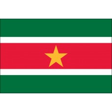 6x10' Nylon Suriname Flag